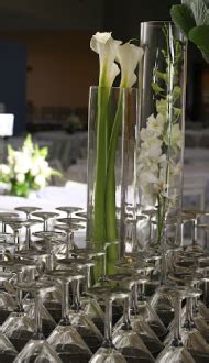 bay area fundraising auctioneers|Sunseri Auctions: School, Charity and Non.